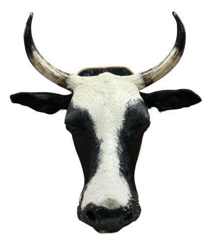 Decoração De Parede Cabeça De Boi Nelore Country Empalhada
